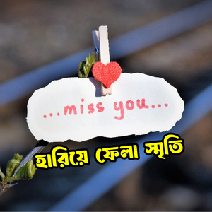 হারিয়ে ফেলা স্মৃতি Hariye Fela Smriti