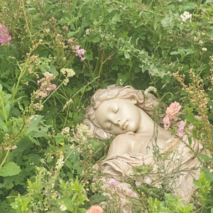 [Trap]常青藤-MACOVASEAS x Toosii Type Beat