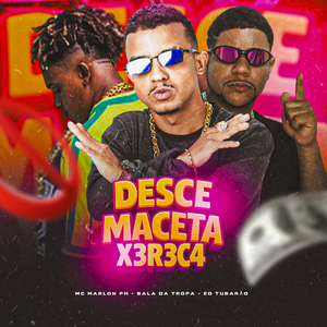 Desce Maceta X3r3c4