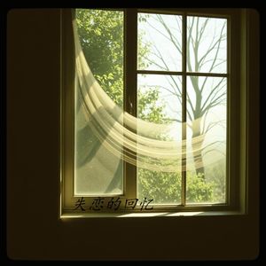 风中的牵挂