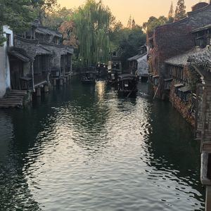 盛夏光年的你