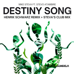 Destiny Song (Henrik Schwarz Remix)
