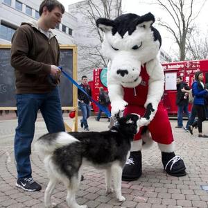 直火帮-圣杯(Yankee.X Remix)