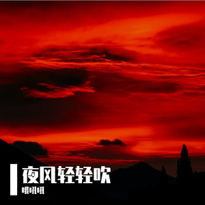 夜风轻轻吹