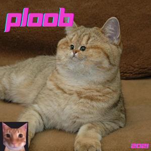 Ploob