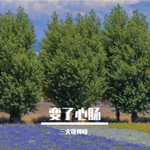 雨意锁眉间