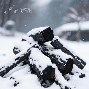 一生难求雪中炭 (寂寞阿明 Remix)