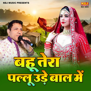 Bahu Tera Pallu Ude Baal Me