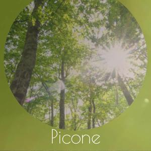 Picone