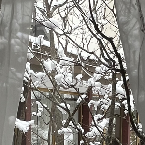 D/N/A（文言文填词版）