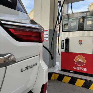 鄂托克荣光之何冬霖