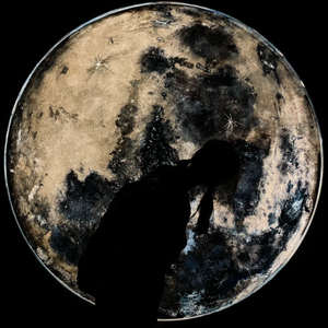 推开世界的门+小象