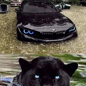 终会与你同行-杨老板专属