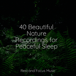 Kaleidoscope of Dreams