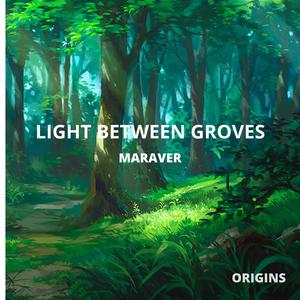 Light Between Groves