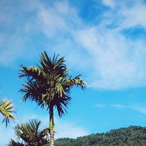 樊桐舟-你到底爱谁