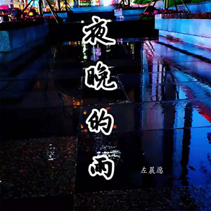 夜晚的雨
