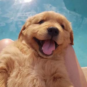 你的名字我都会写