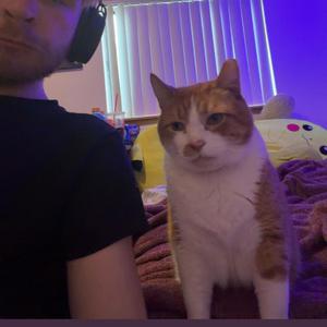 Sandwich (feat. Bino & Cryinshiga)