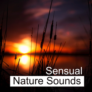 Sounds of Nature