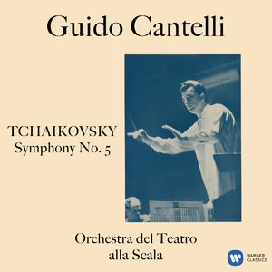 Symphony No. 5 in E Minor, Op. 64:II. Andante cantabile, con alcuna licenza