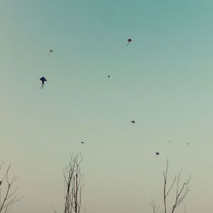 why you always say that