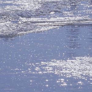 总有人四季等你