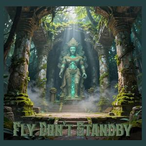 Fly Don't Standby