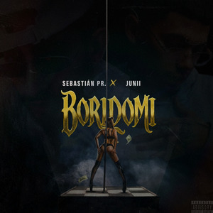 Boridomi
