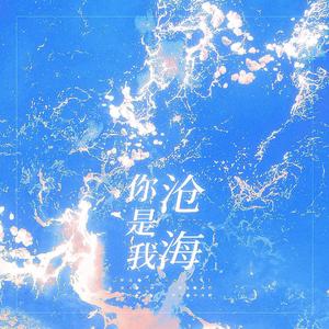 你是我沧海