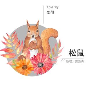 松鼠