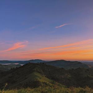Northern Lights Dancing