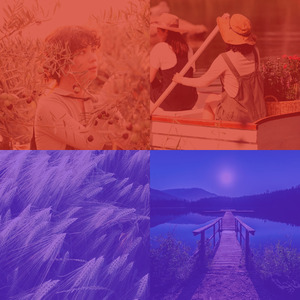 一尘不染周围环境印象数