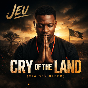 Cry of the Land (9ja Dey Bleed) (Remix)