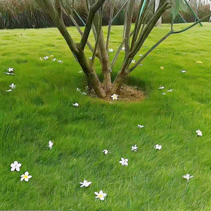 那个好久不见的你