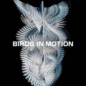 Obsession (Reverb&Slowed&Mix)