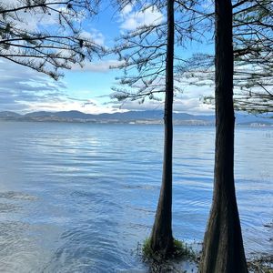 Ashes (DJ阿柒 Remix）