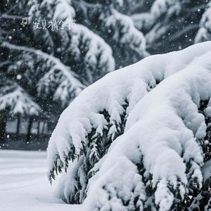 听雪说爱你