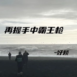 再握手中霸王枪