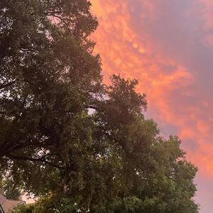 The Day That Normal Died