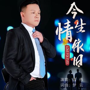 今生情依旧-谈伟