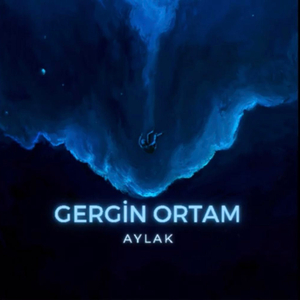 Gergin Ortam