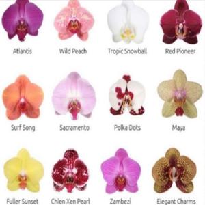 latitude (feat. handweep)