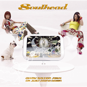 I'm just going down~Instrumental~