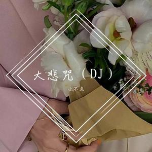 大悲咒（小不点 remix）