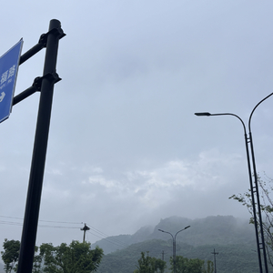 空白信章.