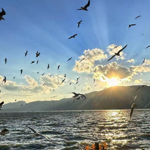 诗韵里的爱情沉醉