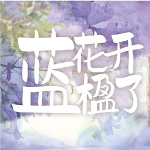 蓝花楹开了