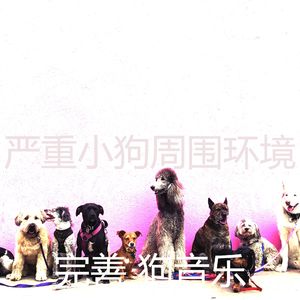 抚慰的幼犬回忆