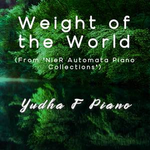 Weight of the World (From "NieR Automata Piano Collections")